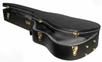 guitar case 1